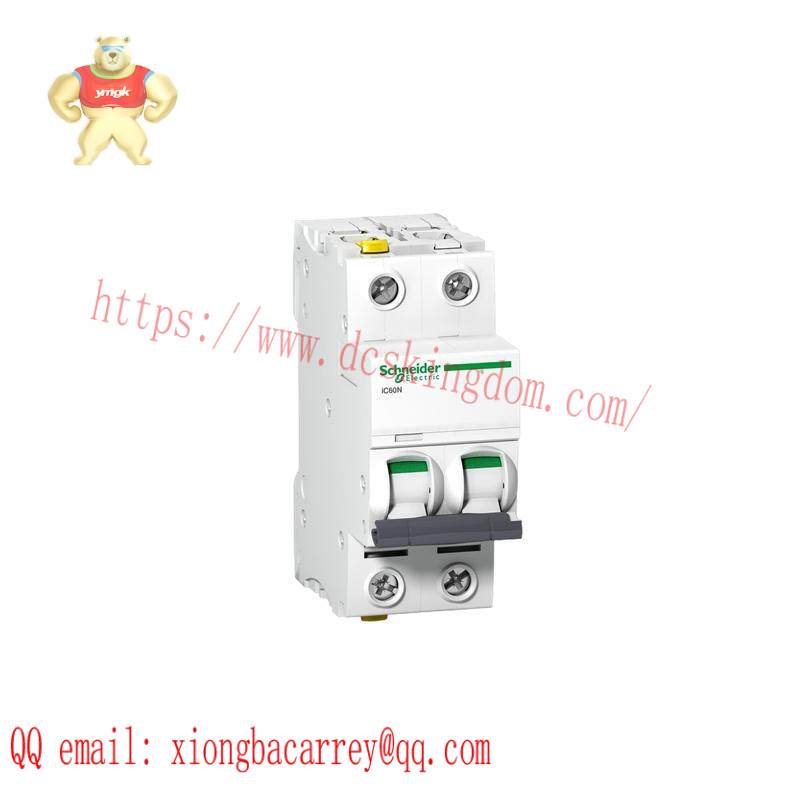 SCHNEIDER C65N 1P C10