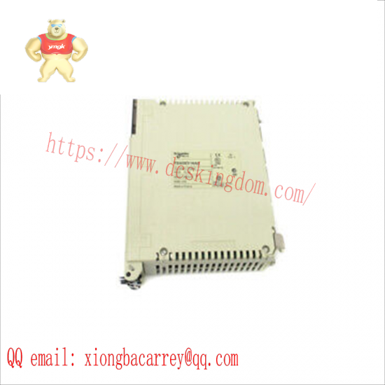 SCHNEIDER TSXDEY16A2 Discrete Module