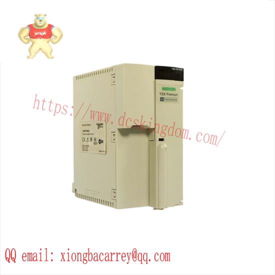 SCHNEIDER TSXPSY5500 Power Supply Unit