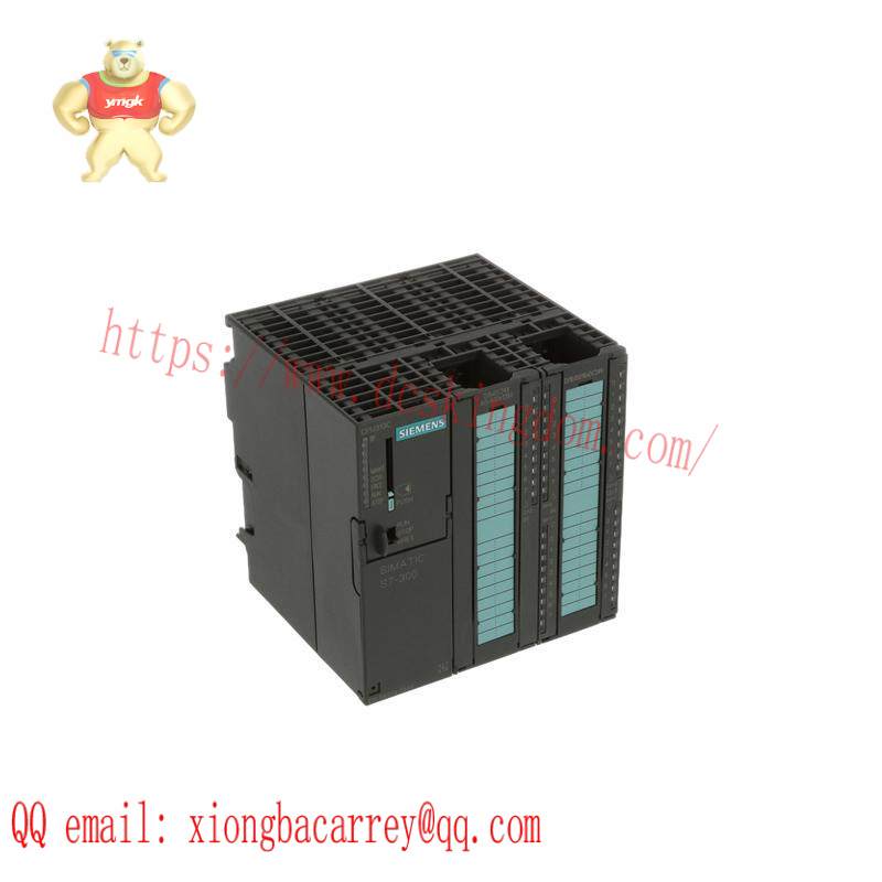 SIEMENS 6ES7313-5BG04-0AB0 DIGITAL OUTPUTS