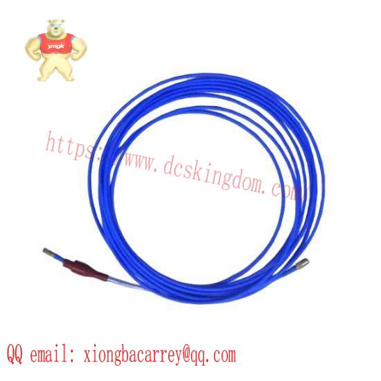 TM032-A00-B00-C00-D00-E00-F00-G00  Bently Nevada Extension Cable