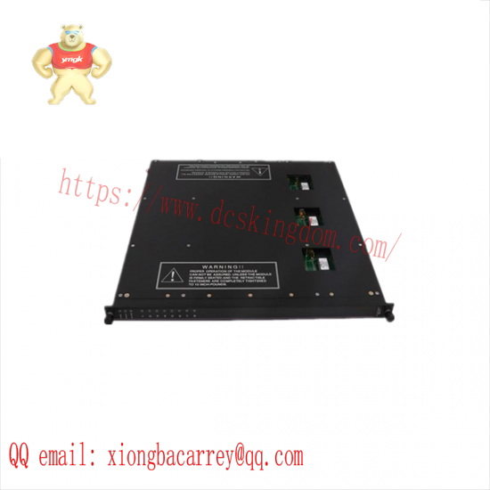Triconex 1400010-001 module