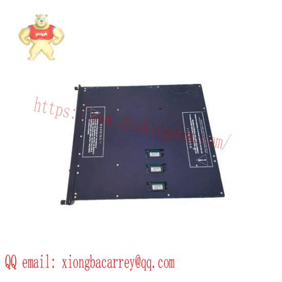 TRICONEX 9563-810