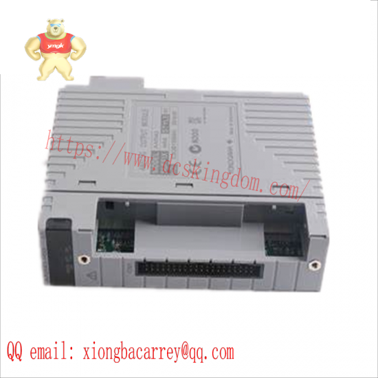 YOKOGAWA AAI543-H53 S1 Analog Input/Output Module