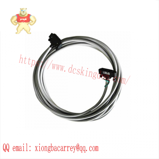 YOKOGAWA KS1*B Signal Cable