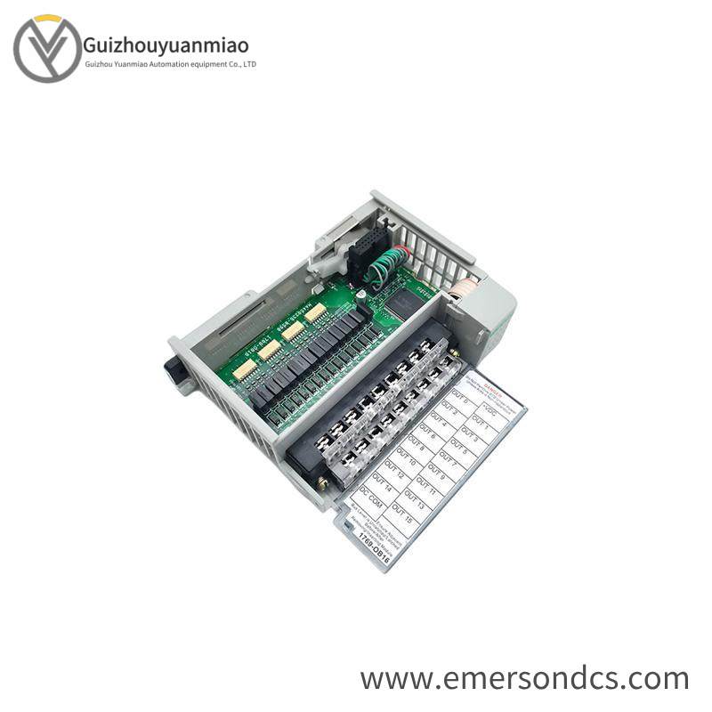 AB 1769-OB16 INPUT MODULE