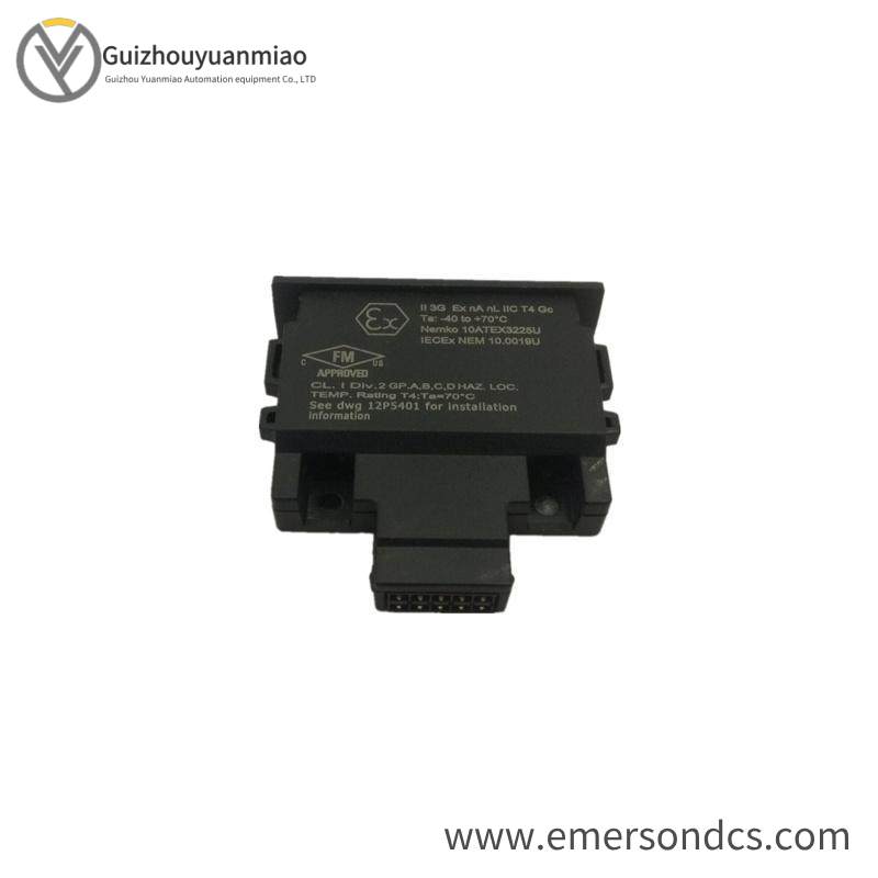 EMERSON 12P4983X302  Charm Address Plug