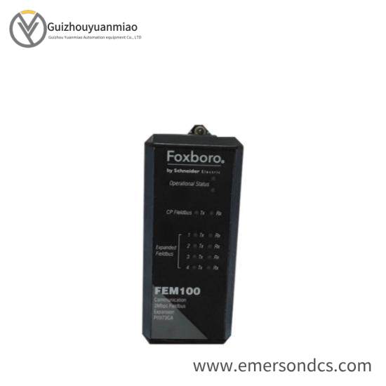 Foxboro FEM100 P0973CA  I/A Series Expansion Module