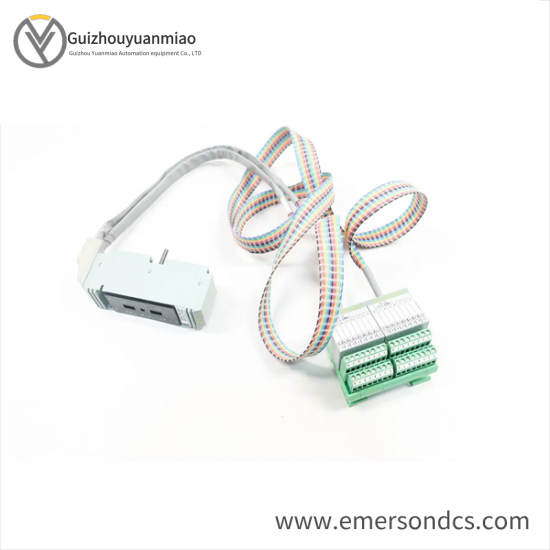 FOXBORO P0500SR Termination Cable Assembly