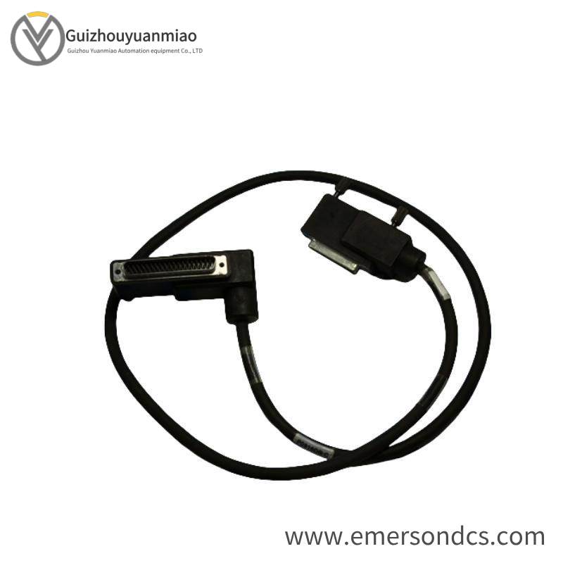 Foxboro P0916DB TERMINATION CABLE