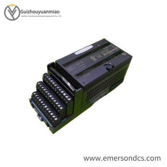 GE Fanuc IC200ALG266F input module