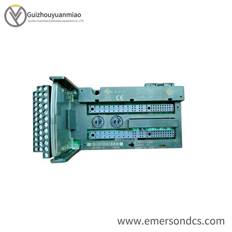 GE IC200CHS022J Analog input MODULE