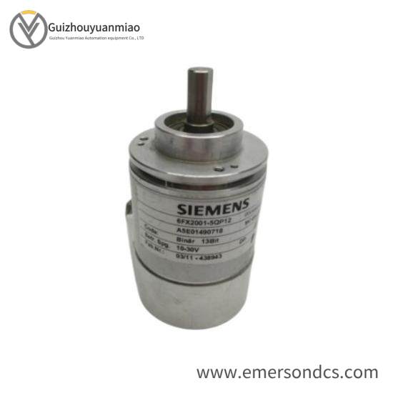 SIEMENS SMP-E217