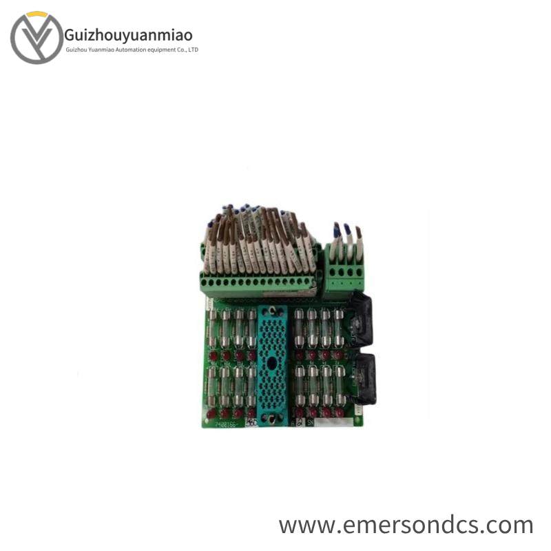 TRICONEX 9662-810 Module