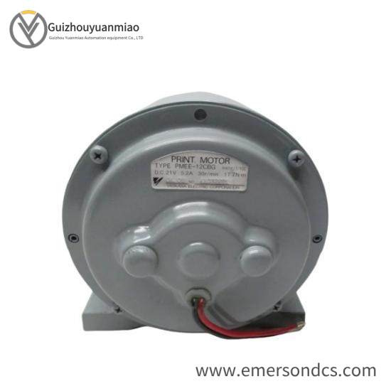 Yokogawa PMEE-12CBG Motor