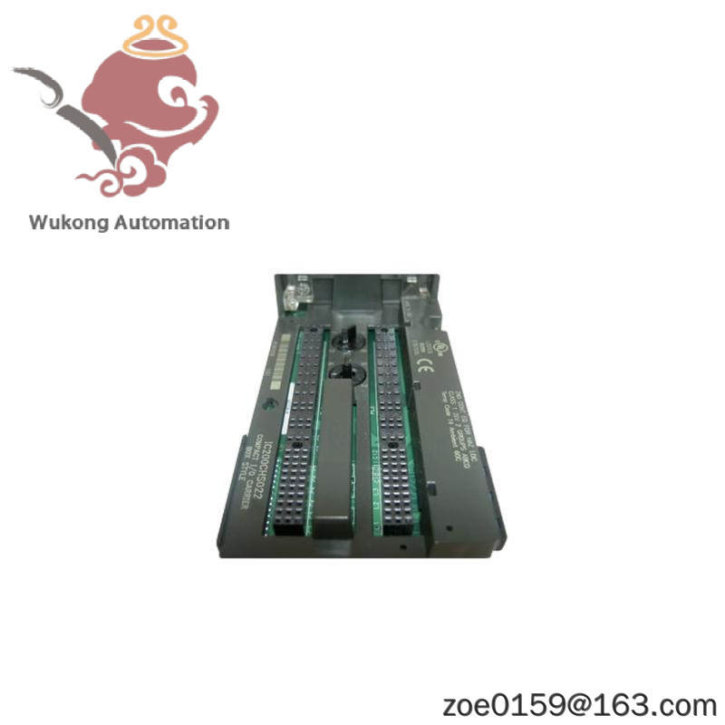 GE IC200CHS022 carrier module