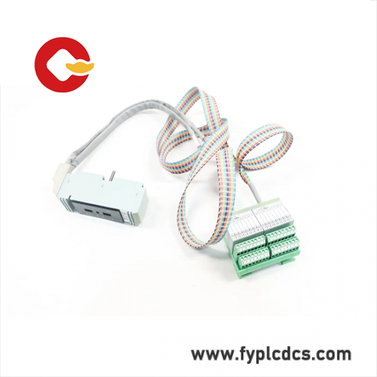 FOXBORO P0500SR Termination Cable Assembly