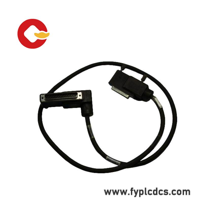 Foxboro P0916DB TERMINATION CABLE