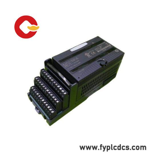 GE Fanuc IC200ALG266F input module