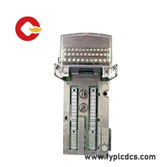 GE FANUC IC200CHS022E