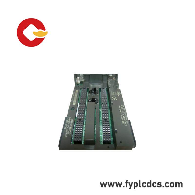 GE IC200CHS022 carrier module