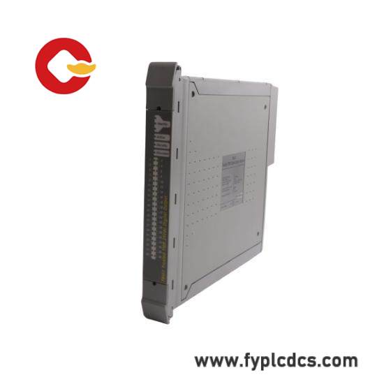 ICS TRIPLEX T8110B