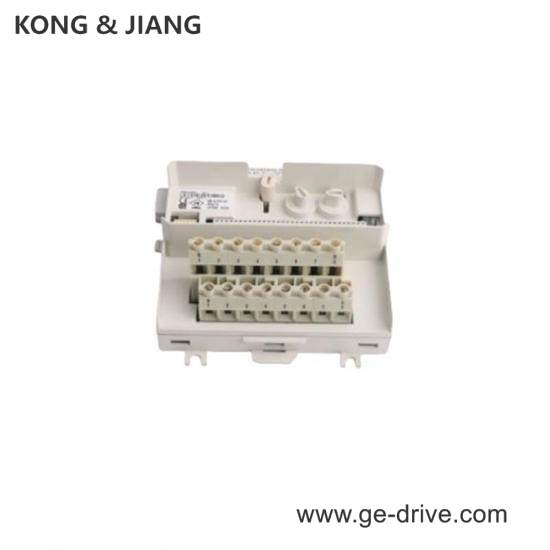 ABB HESG447398R0020 Analog Input Module