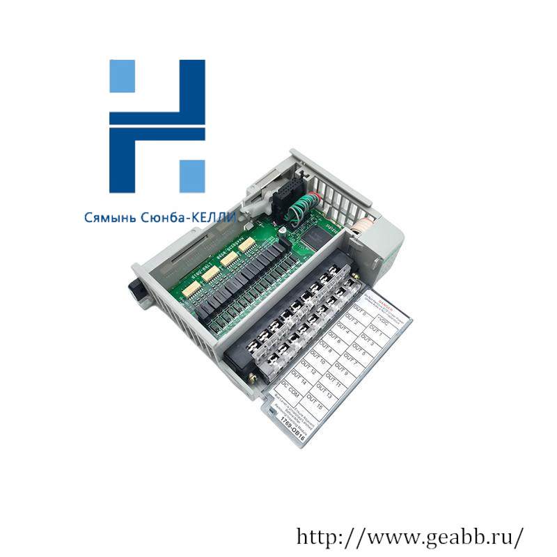 AB 1769-OB16 INPUT MODULE