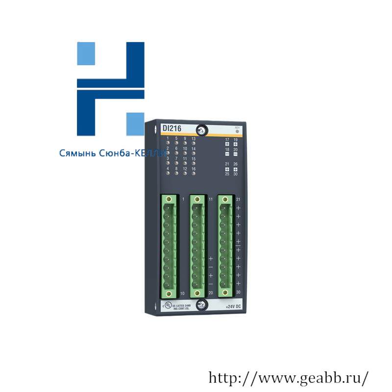 Bachmann DI216 DIGITAL INPUT MODULES