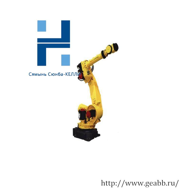 FANUC R-2000iBJ5、J6 Robot Module