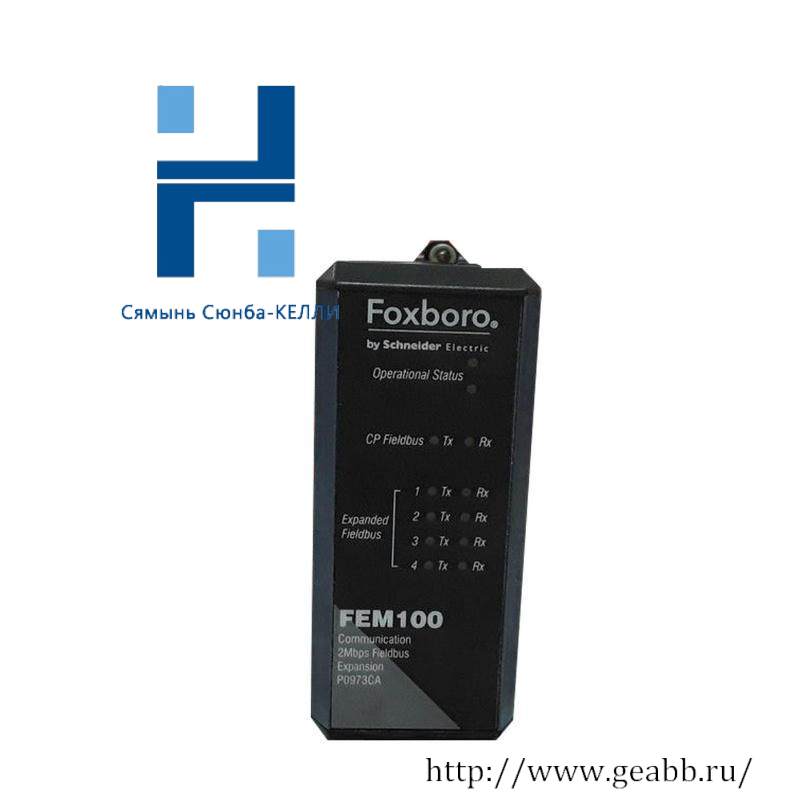 FOXBORO FEM100 Fieldbus Expansion Module