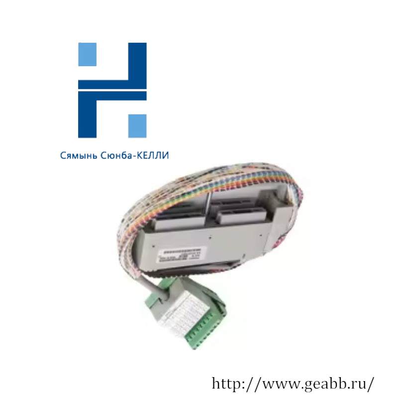 Foxboro FBM3A/33A P0500RU Termination Cable