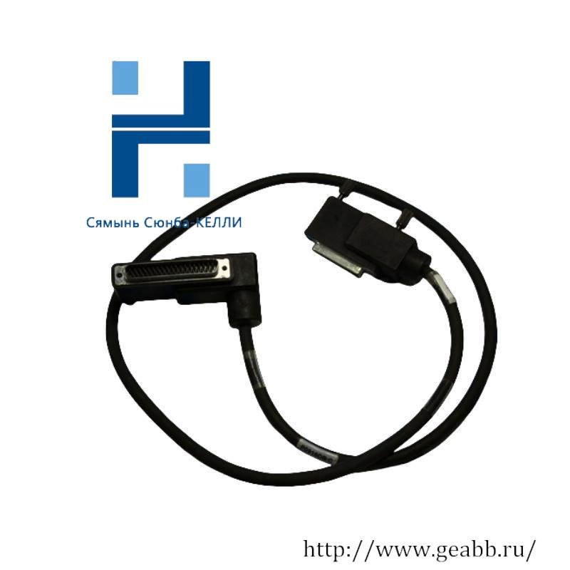 Foxboro P0916DB TERMINATION CABLE