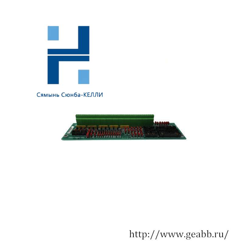 GE DS200TBQBG1A Analog Termination Board