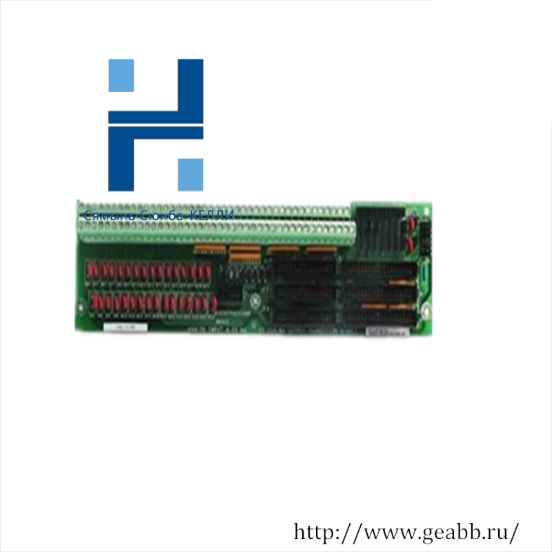 GE DS200TCQAG1ADC Analog Input Module