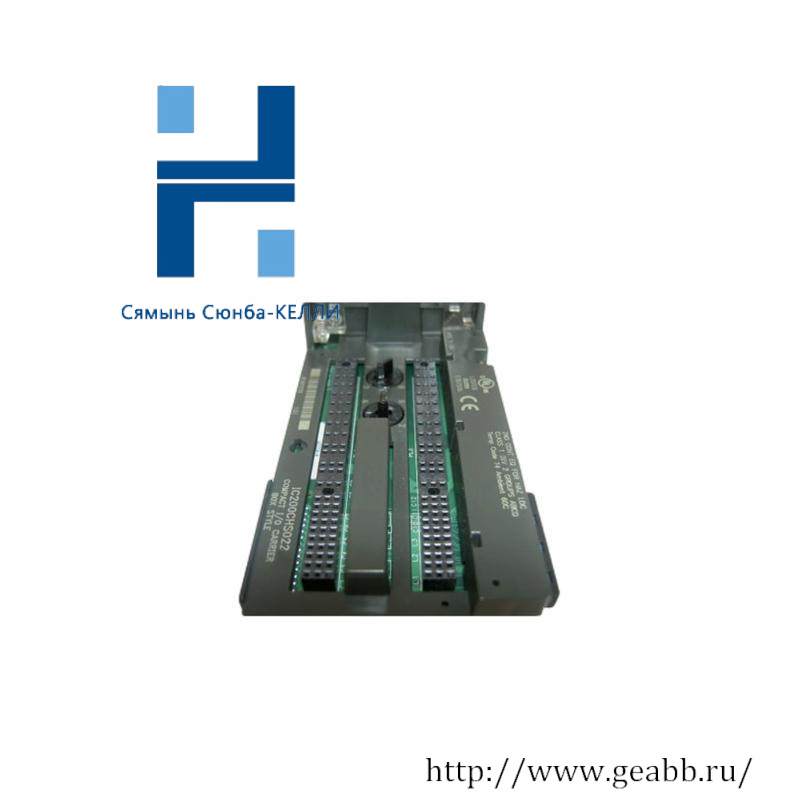 GE IC200CHS022 carrier module