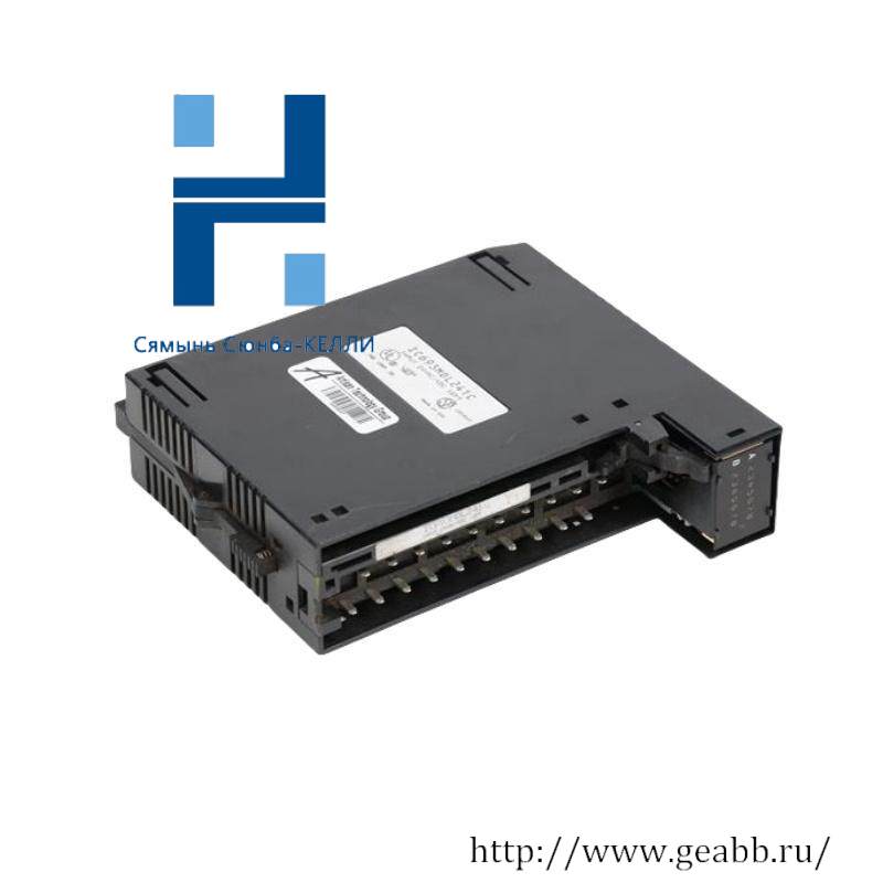 GE IC693MDL241 Positive/Negative Input module