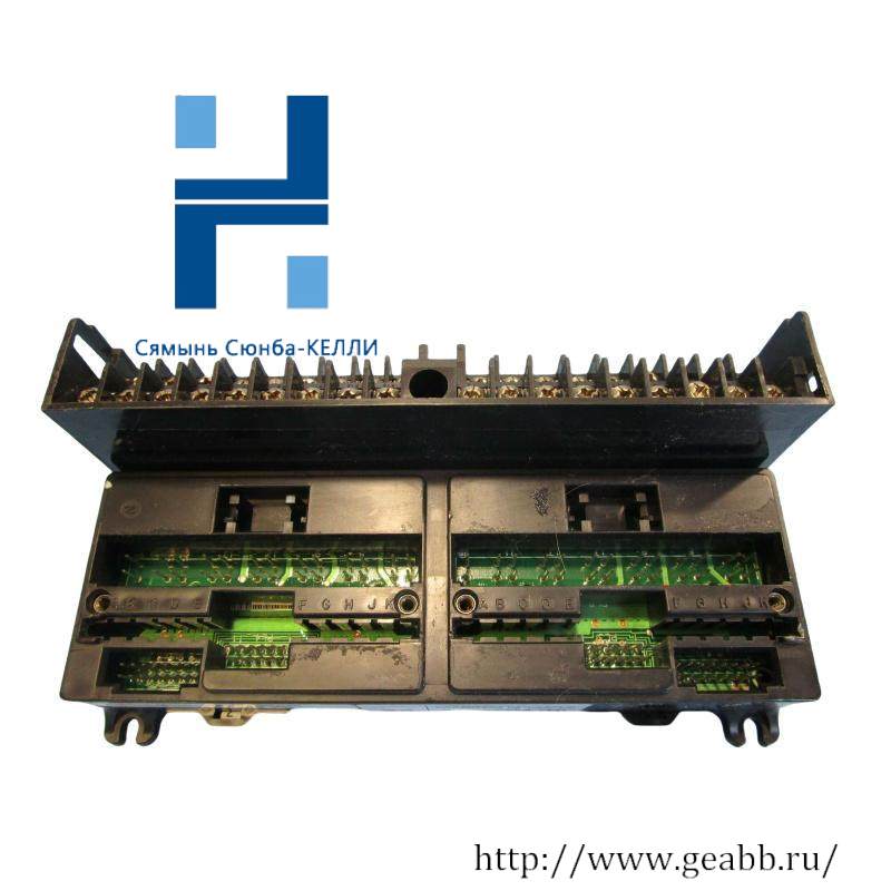 GE IC670CHS001 IO Terminal Blocks