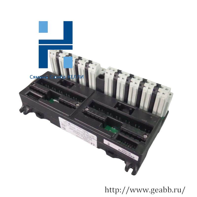 GE IC670CHS002 I/O terminal block