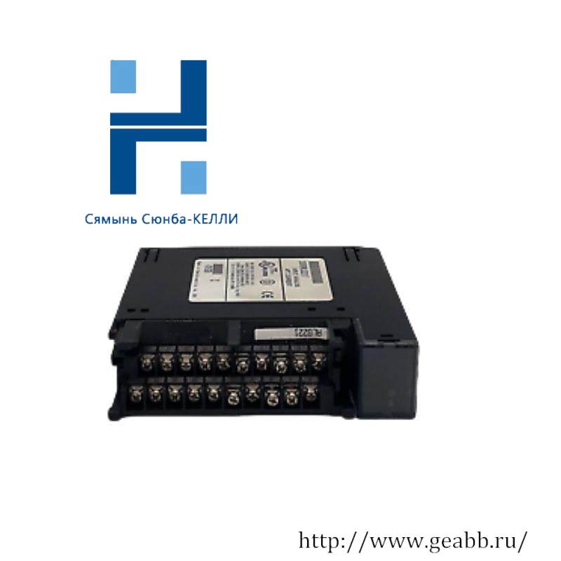 GE IC693ALG221F Analog Input Module