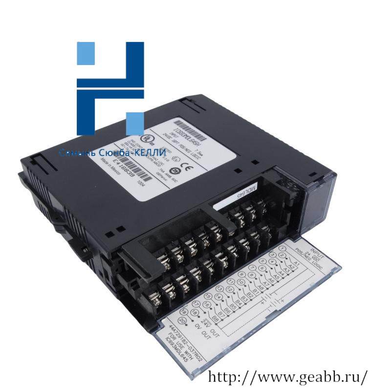 GE IC693MDL645H Input module