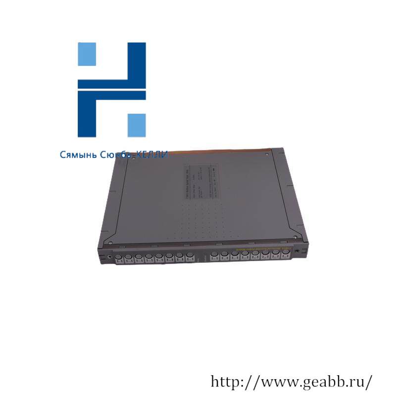 ICS TRIPLEX T3510 POWER SUPPLY MODULE