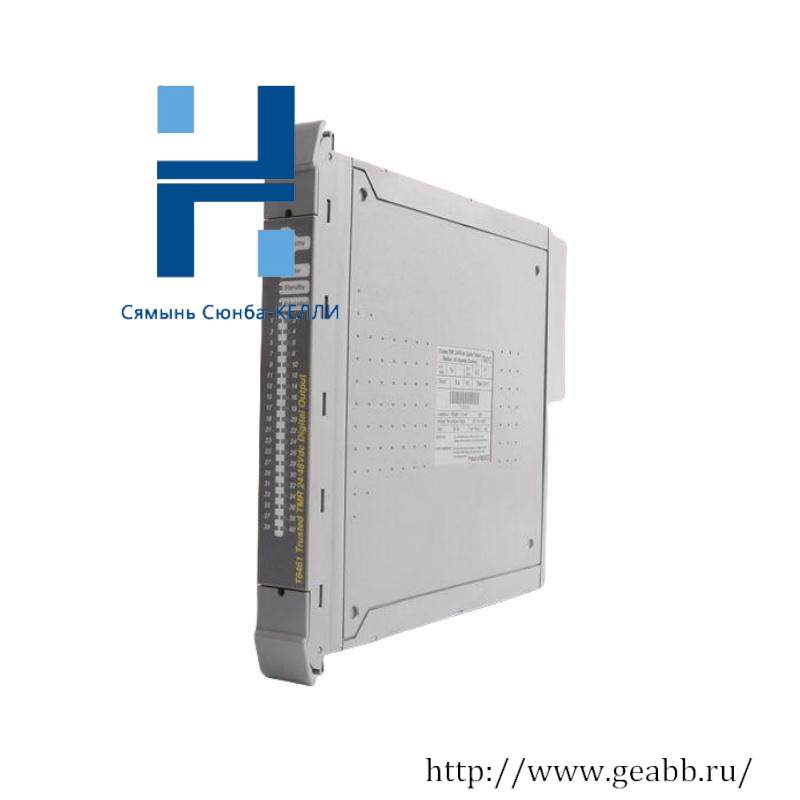 ICS Triplex T8310 Expander Processor