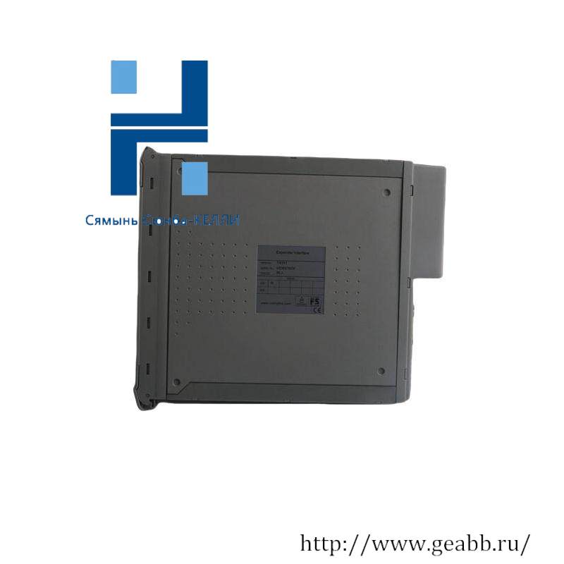 ICS Triplex T8310C Expander Processor