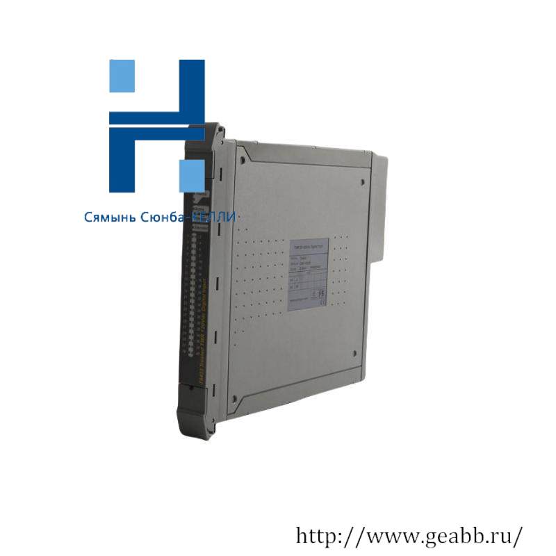 ICS Triplex T8423 Digital Input Module