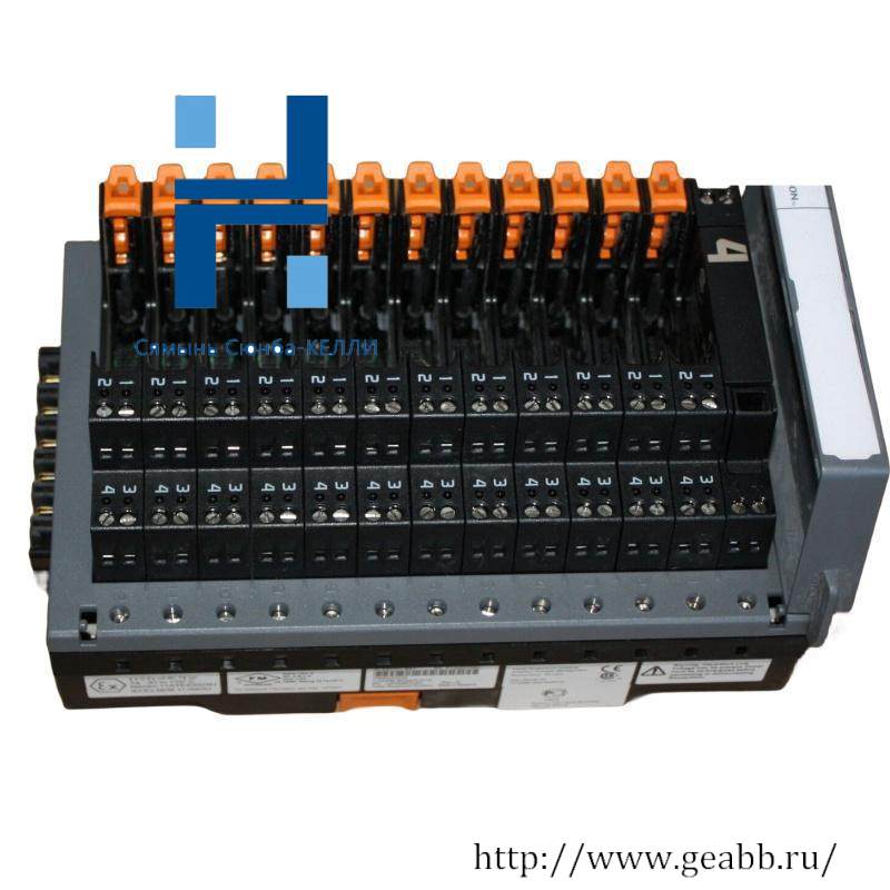 EMERSON KL4201X1-BA1 BASEPLATE TERMINALS ADDRESS TERMINAL PACK