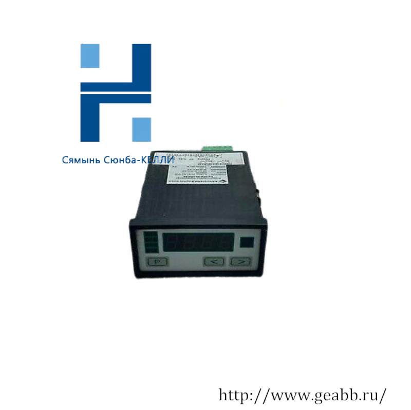 NEGELE PROZESSORANZEIGE DPM-GS-2GW-S Digital Display