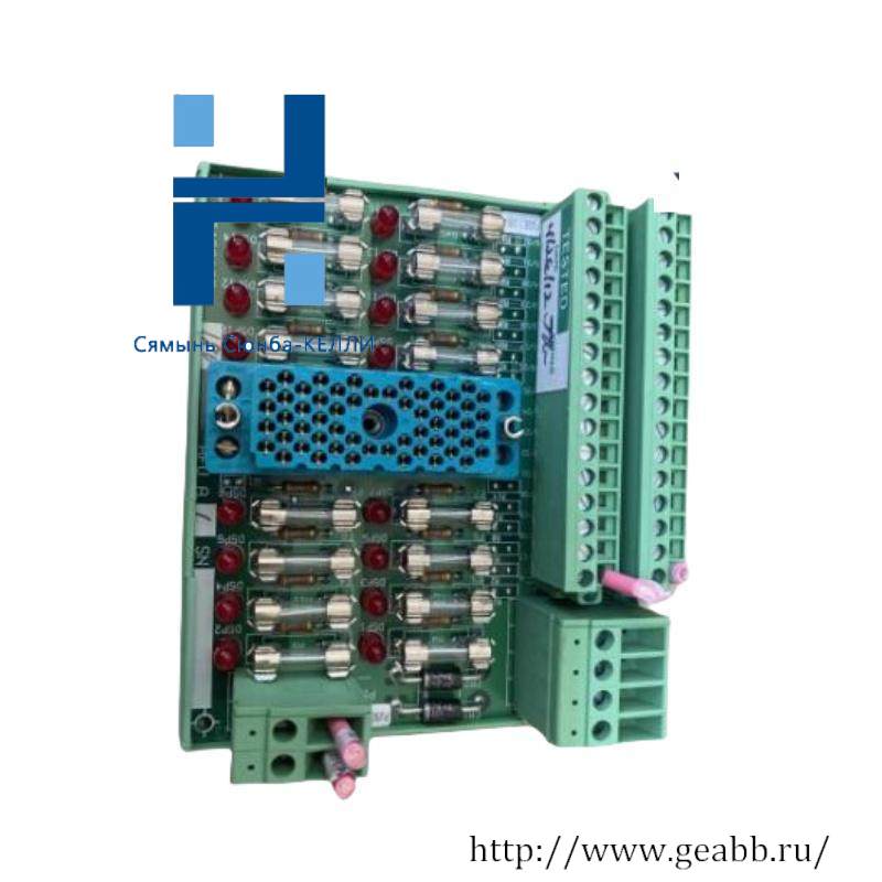 Triconex 3000510-180 Field Termination Panel