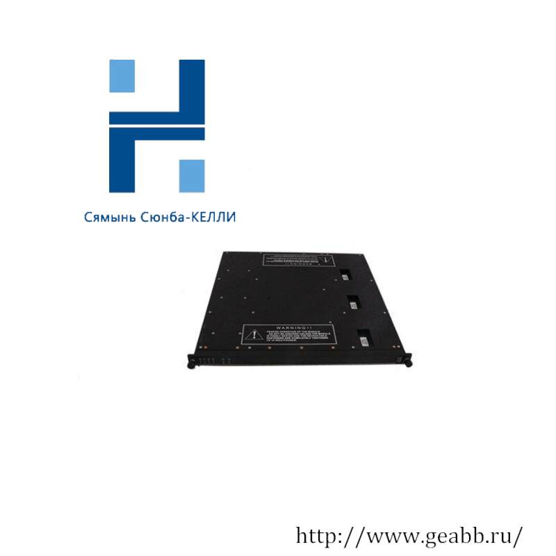 TRICONEX 4000094-320 Module