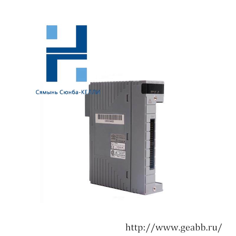 YOKOGAWA AAI543-H50 Analog Input Module